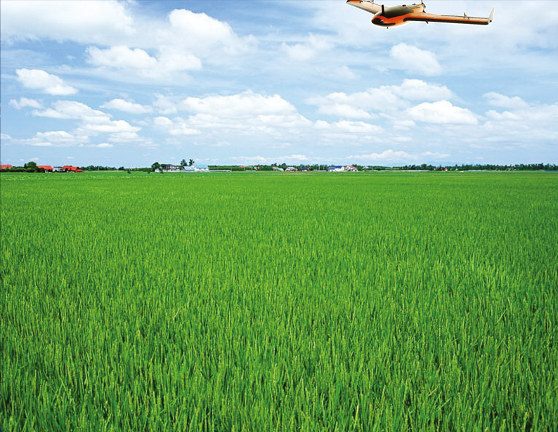 蒼穹農(nóng)村土地承包經(jīng)營(yíng)權(quán)管理平臺(tái)